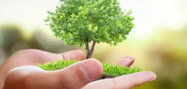 Charitable Giving Through Estate Planning: Maximize Your Impact