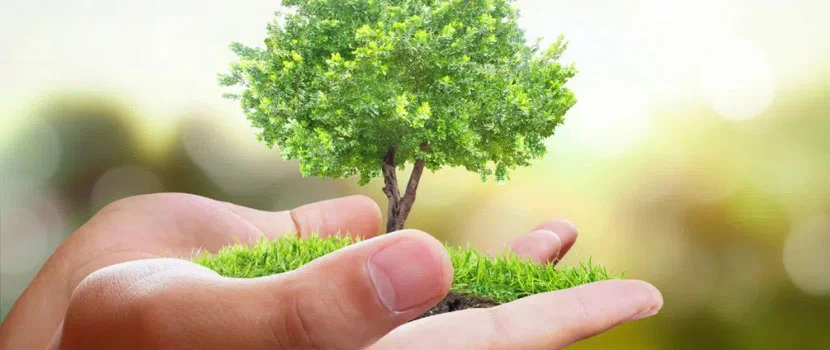 Charitable Giving Through Estate Planning: Maximize Your Impact-image